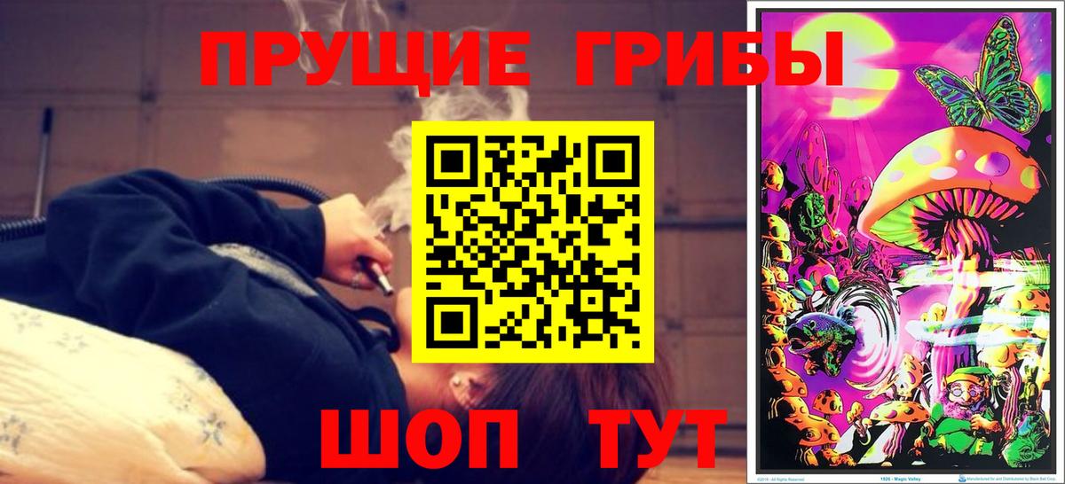 Псилоцибиновые грибы Psilocybine cubensis  Вход с VPN  Воркута 